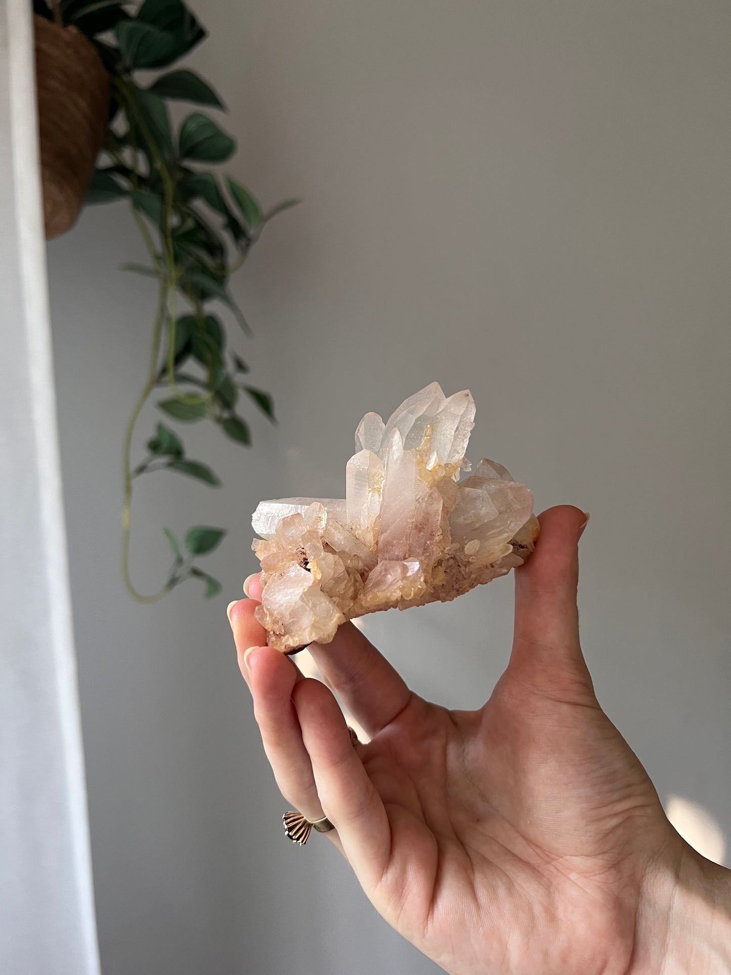 Himalayan Quartz cluster