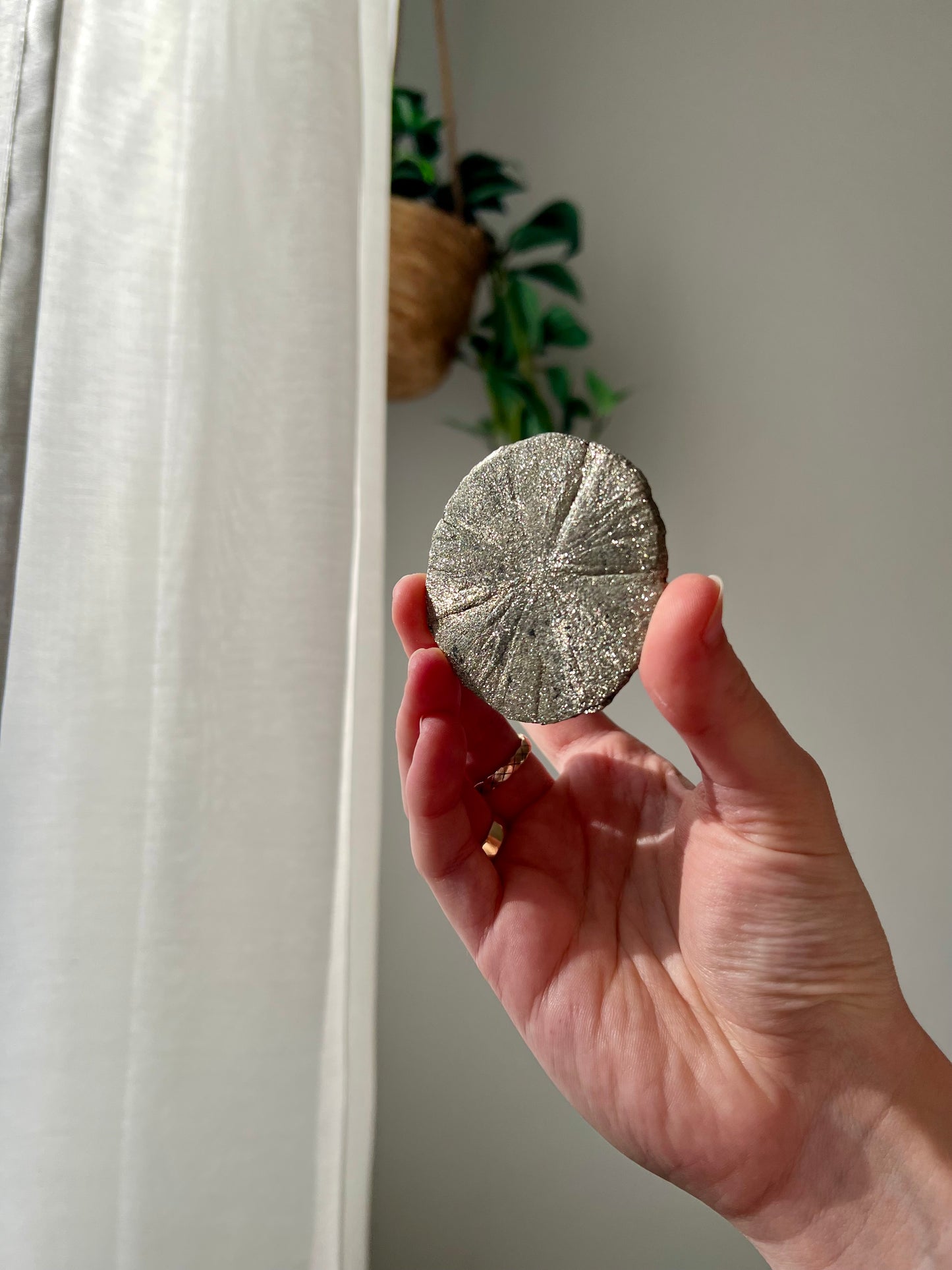 Rare Mini Pyrite Sun from Sparta Illinois USA