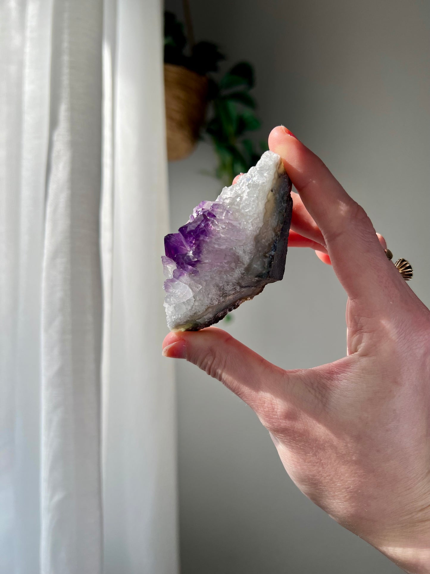 Amethyst Cluster from Brazil