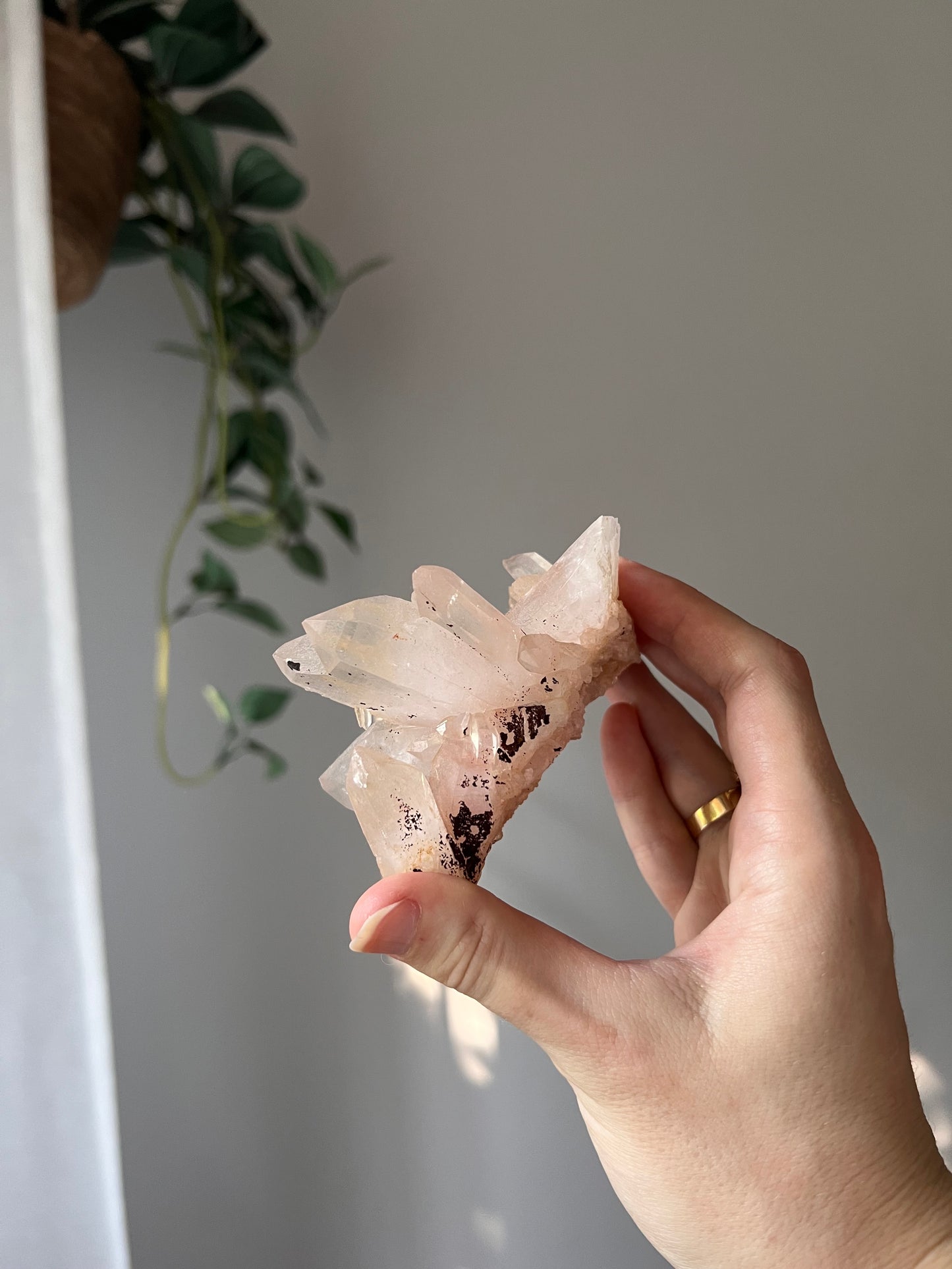 Himalayan Quartz cluster