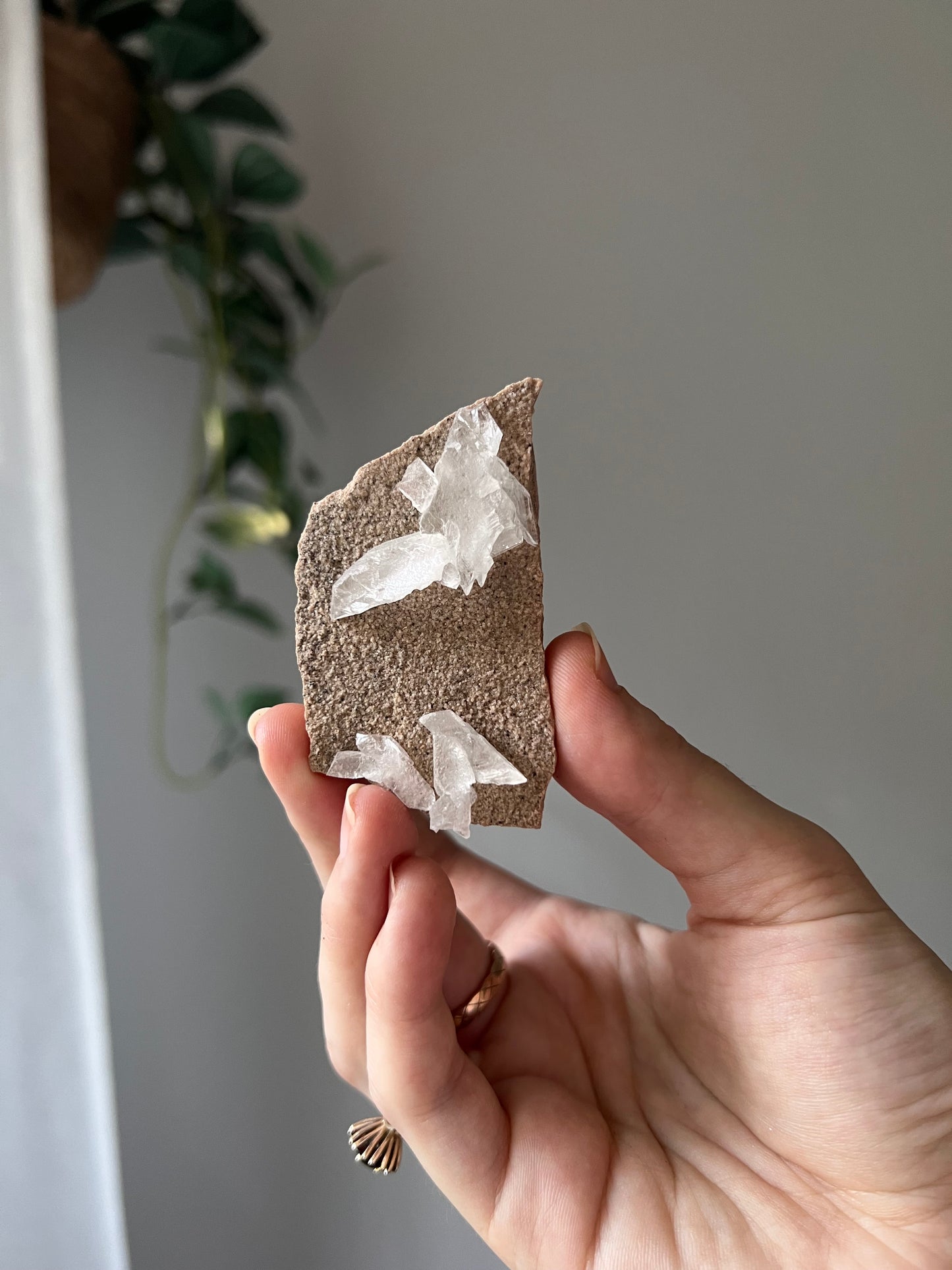 Selenite from Mexico