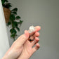 Apophyllite point from India