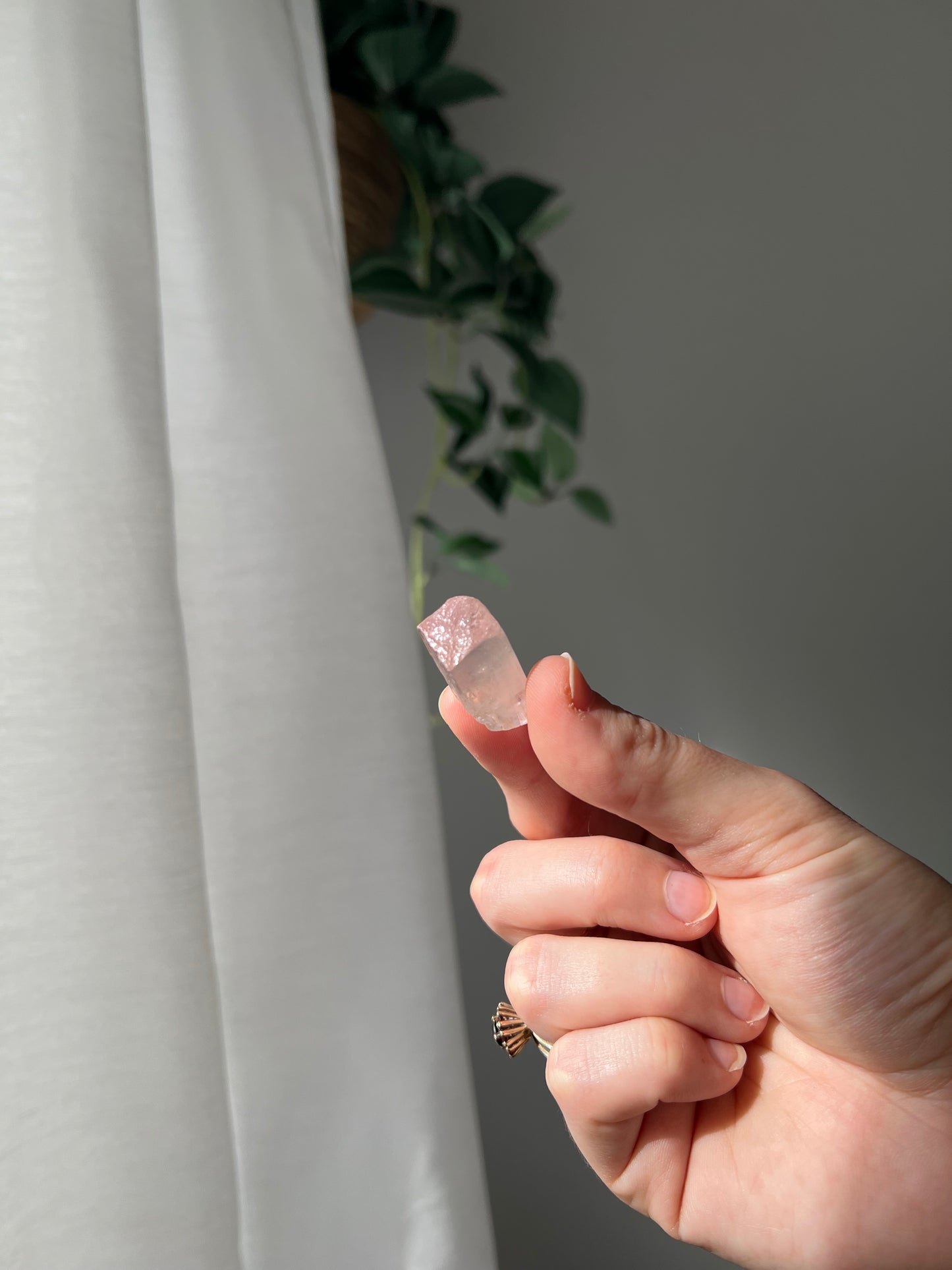 Kunzite from Afghanistan 01