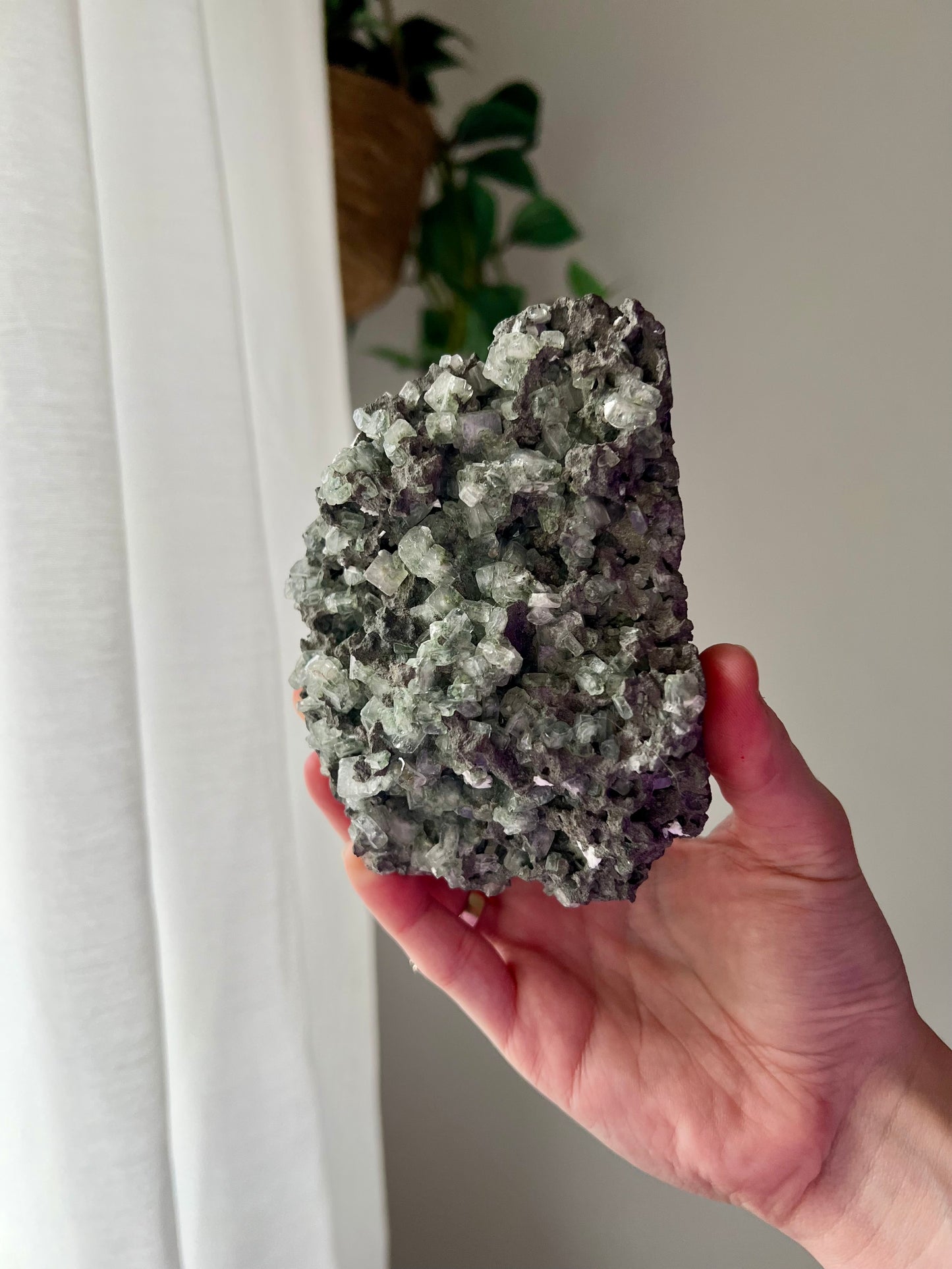 Green Apophyllite on Basalt from India