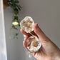 Mini Calcite Geode from Morocco