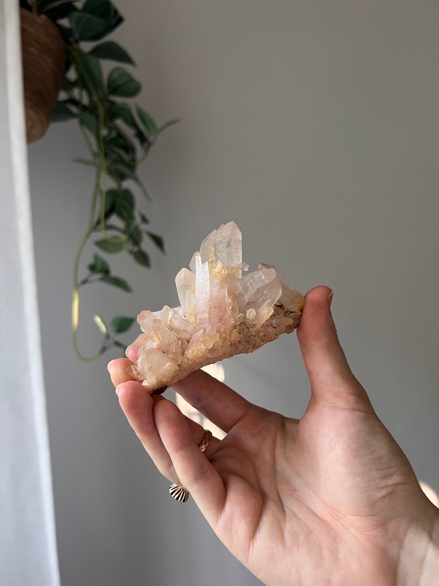 Himalayan Quartz cluster