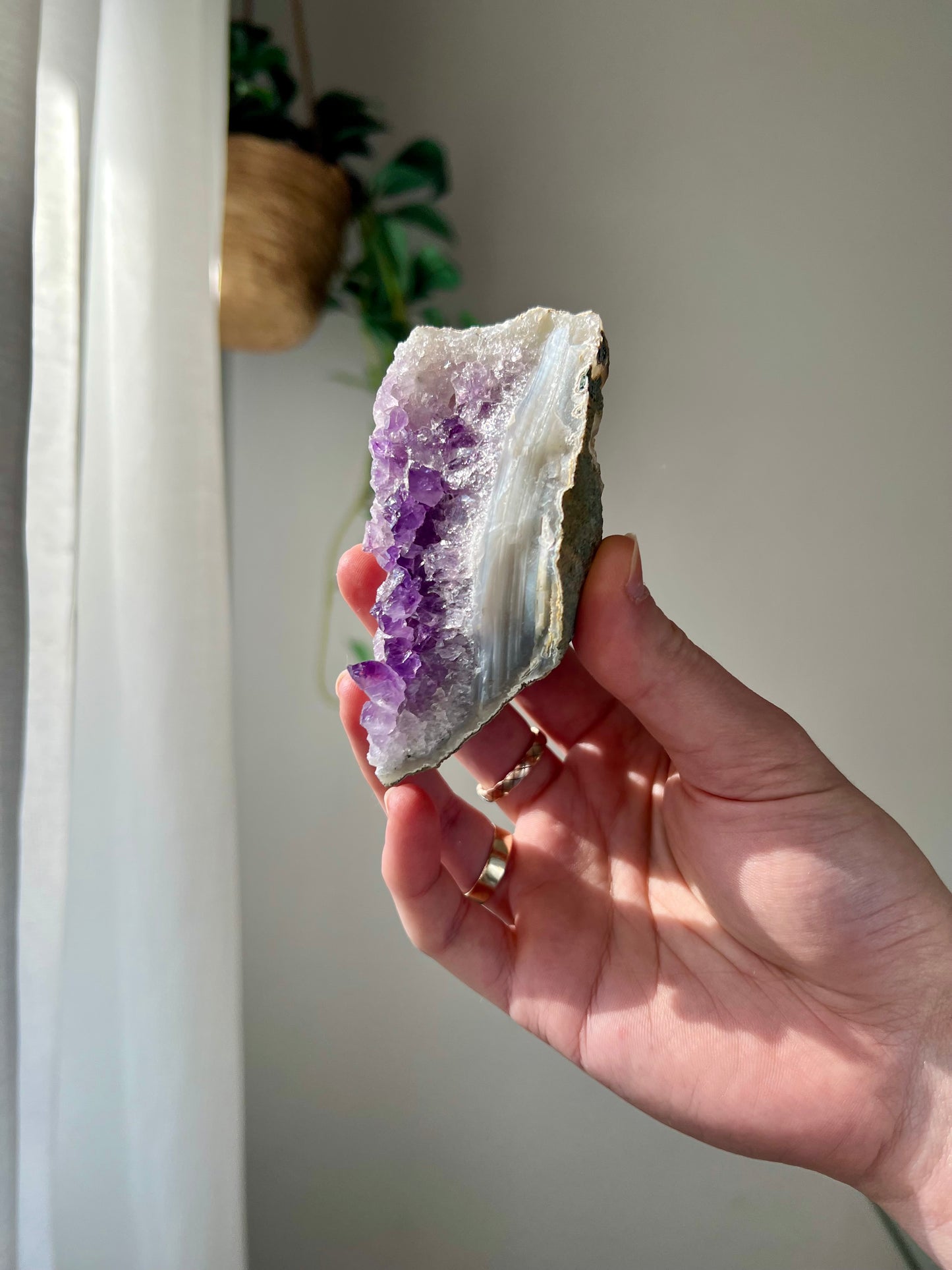 Amethyst Cluster from Brazil