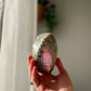 Ethically sourced Abolone Shell