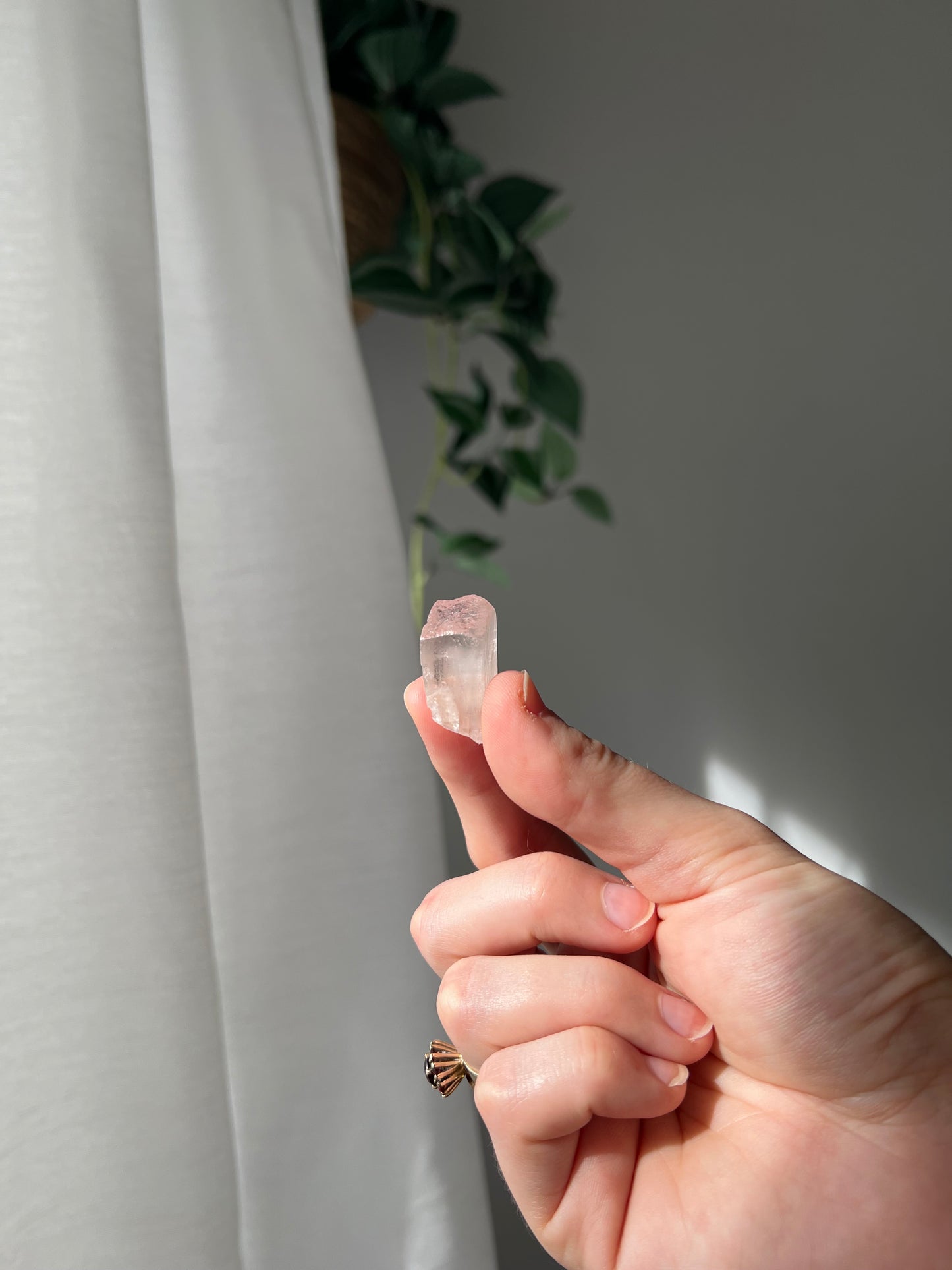 Kunzite from Afghanistan 01