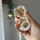 Mini Calcite Geode from Morocco