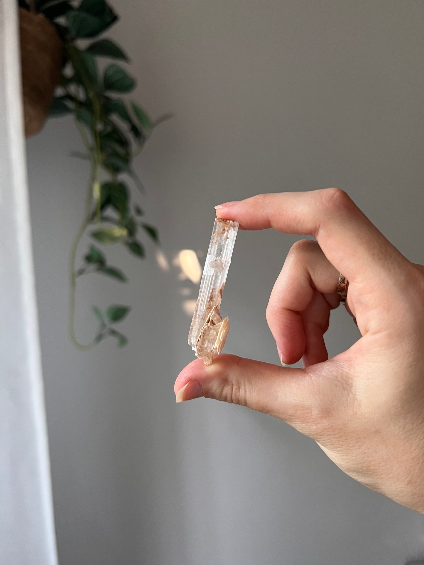 Selenite from Mexico