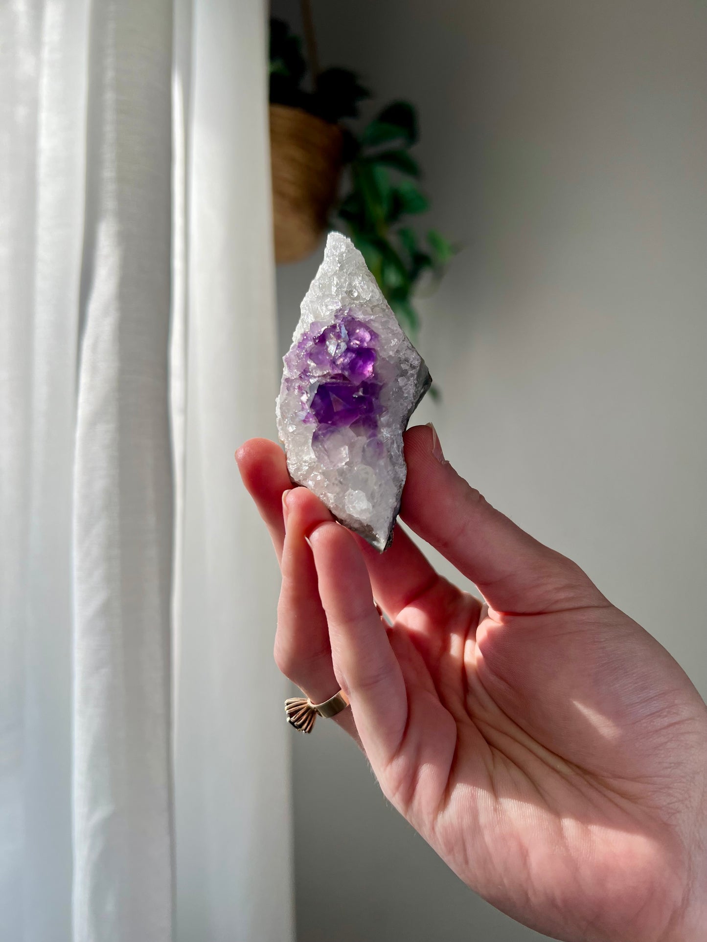 Amethyst Cluster from Brazil