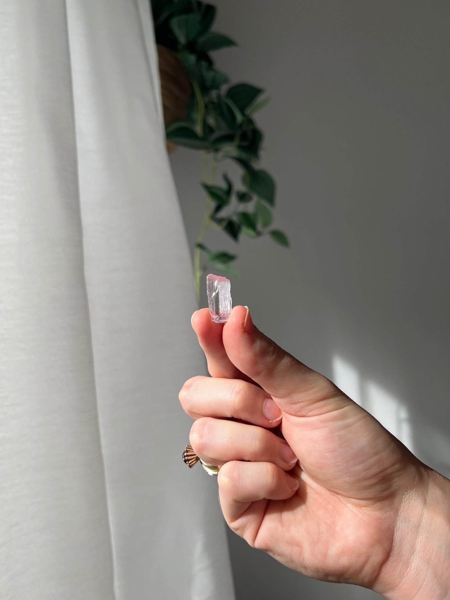 Kunzite from Afghanistan 02