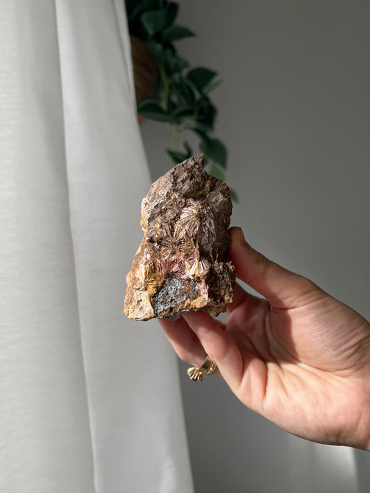 Pyrophyllite from Jones Creek NSW