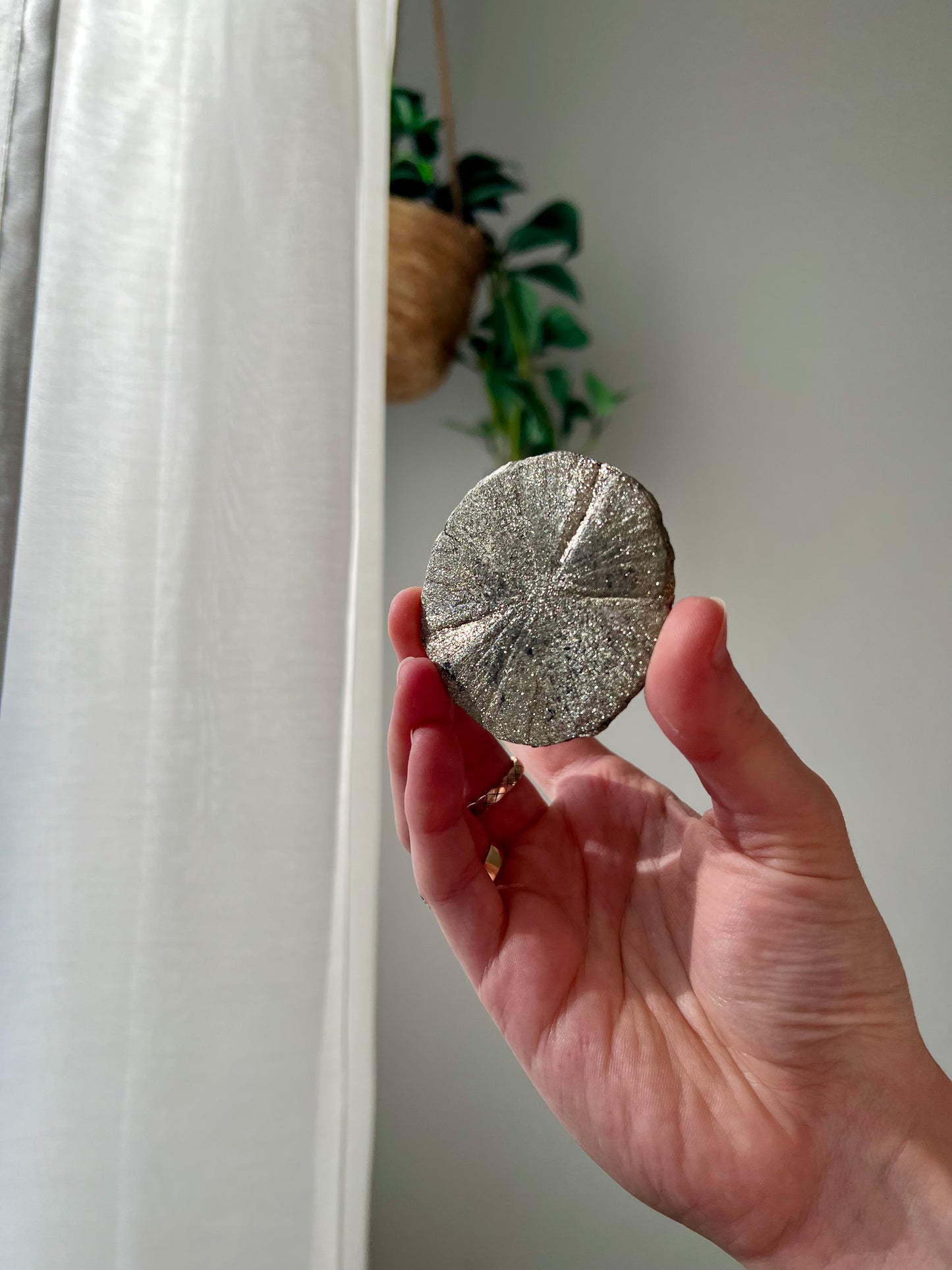 Rare Mini Pyrite Sun from Sparta Illinois USA