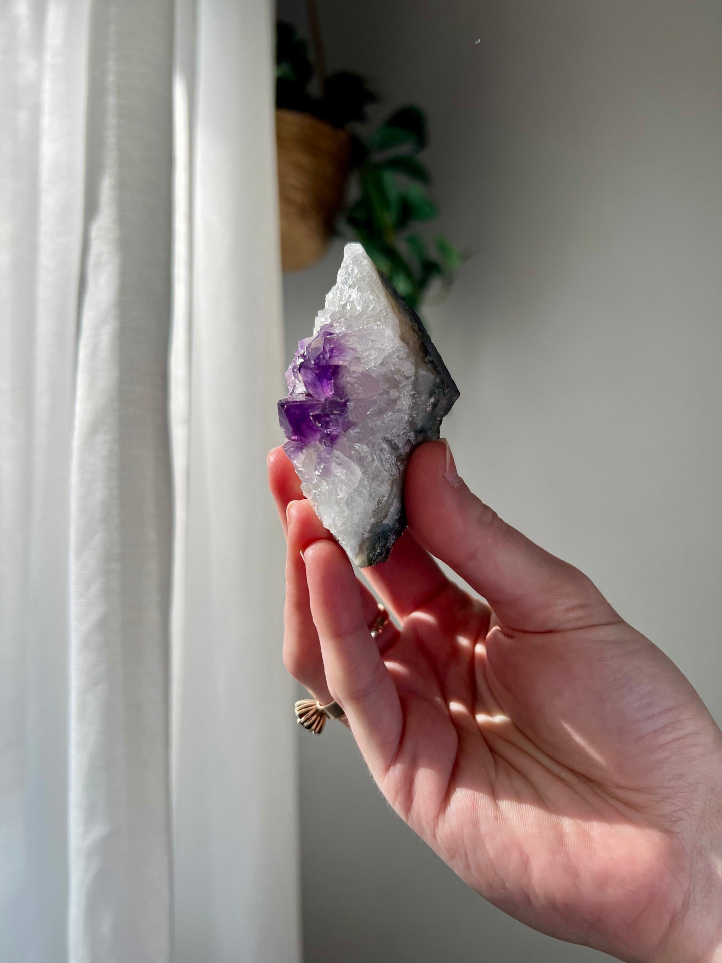 Amethyst Cluster from Brazil