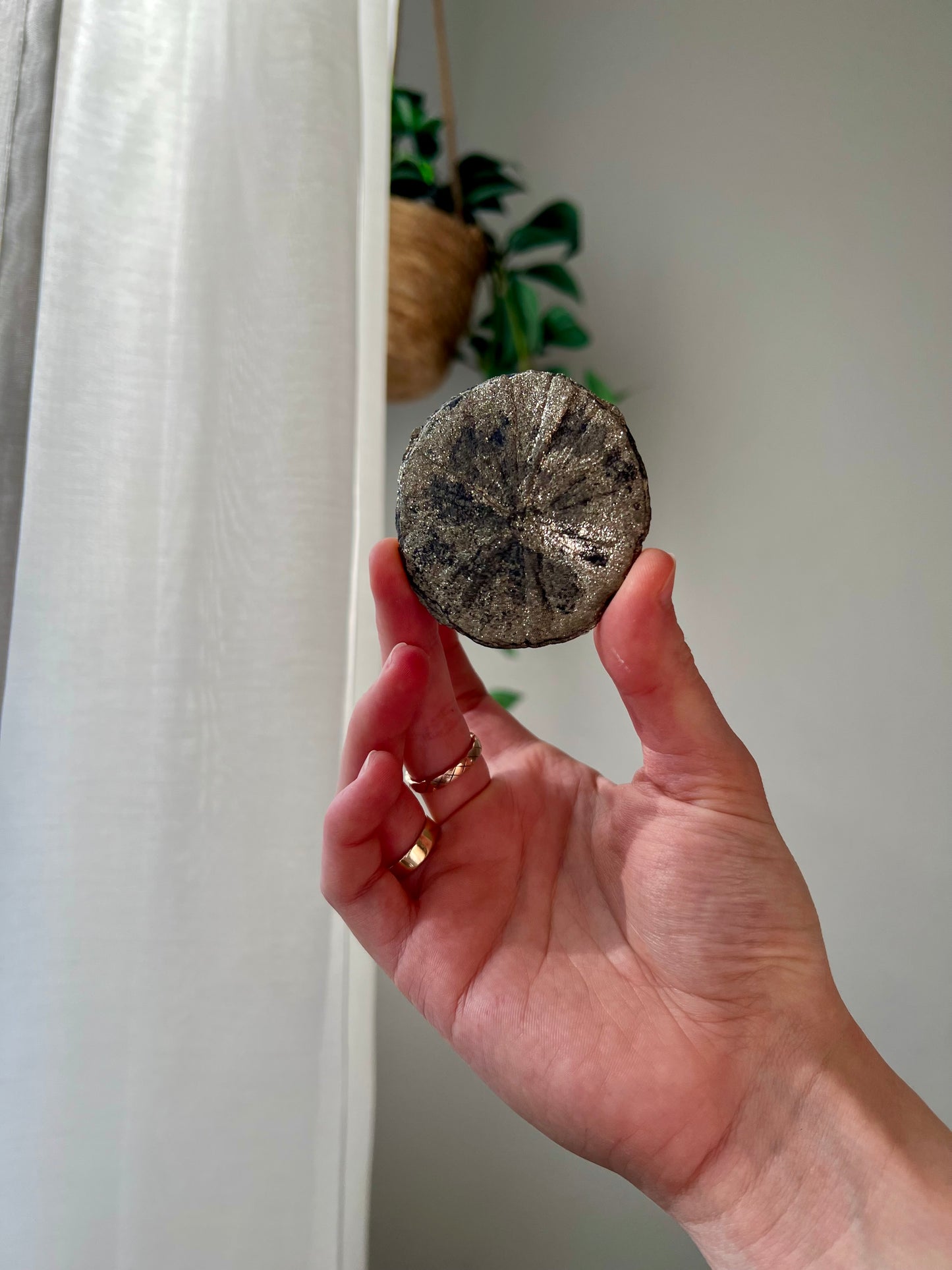 Rare Mini Pyrite Sun from Sparta Illinois USA