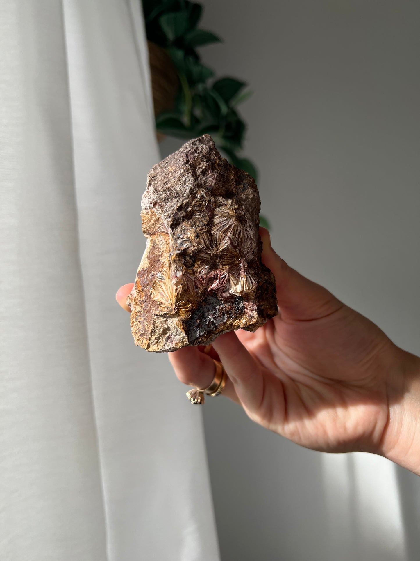 Pyrophyllite from Jones Creek NSW