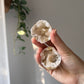 Mini Calcite Geode from Morocco