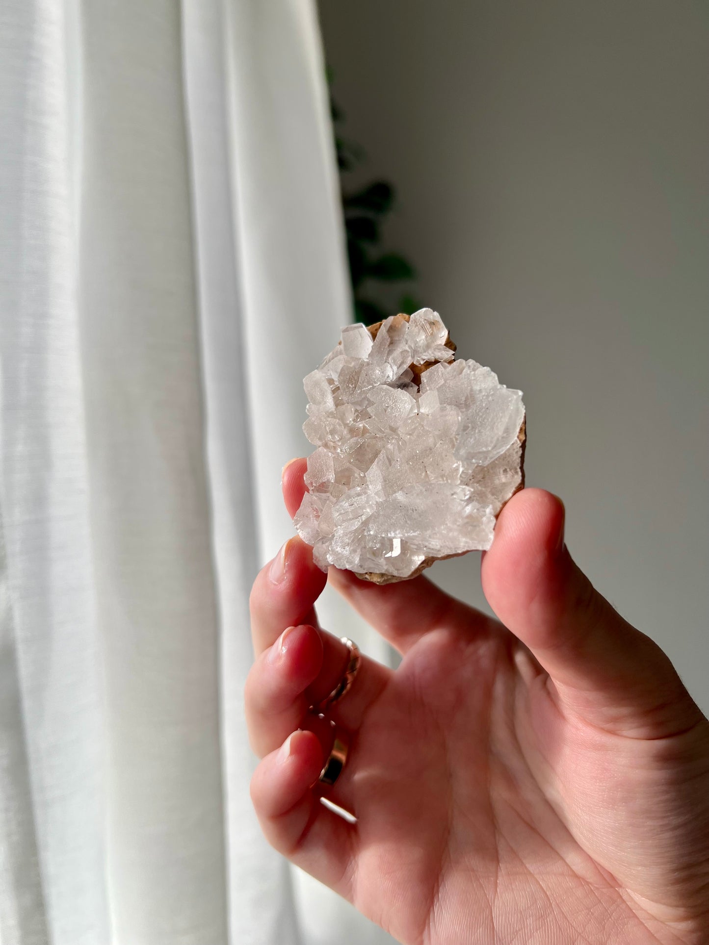 Selenite from Mexico