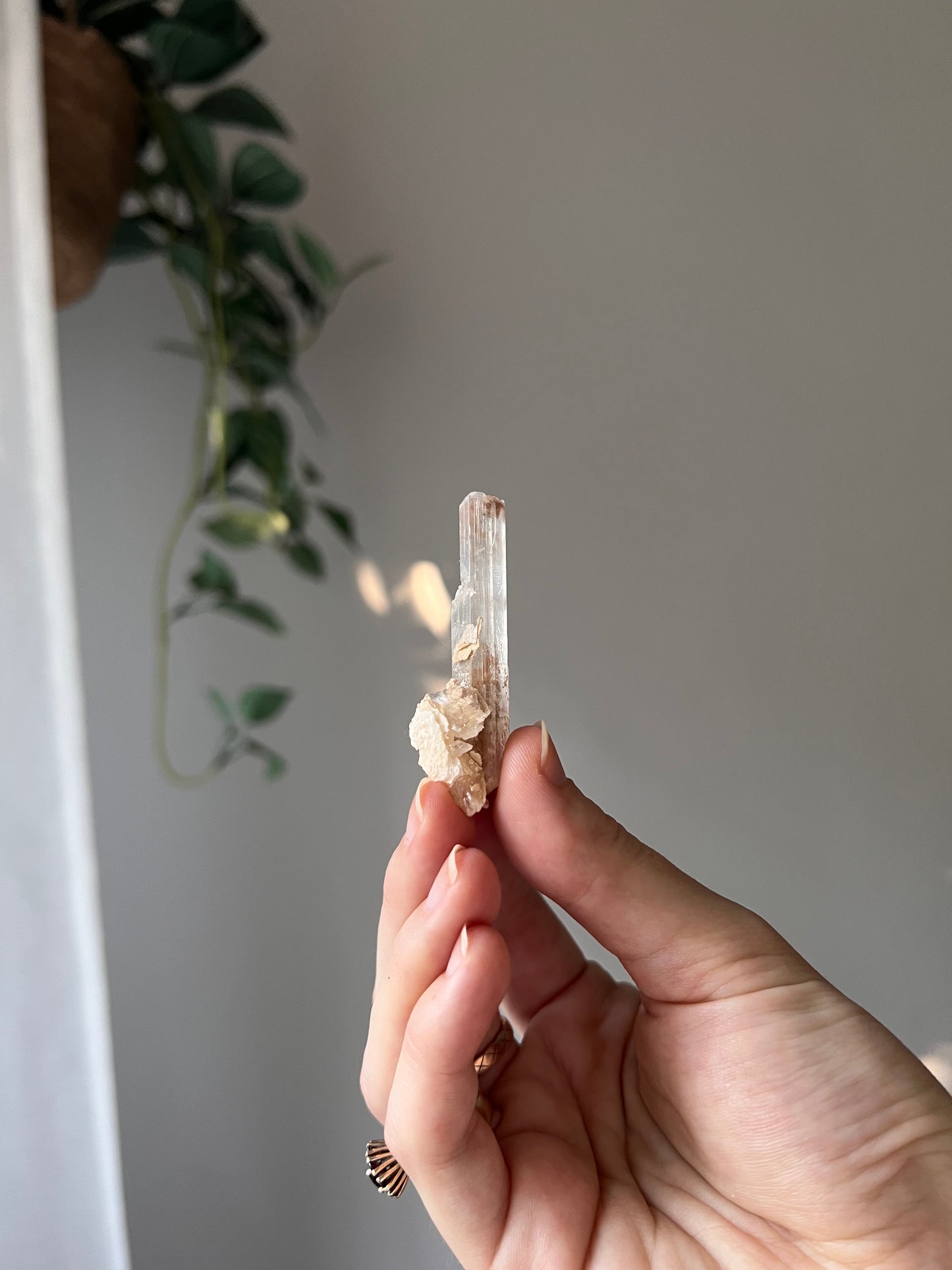 Selenite from Mexico