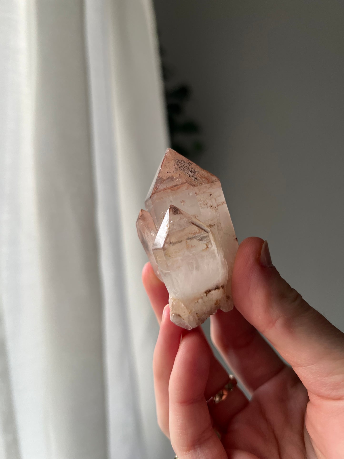Quartz with Hematite from Toms Mountain Queensland