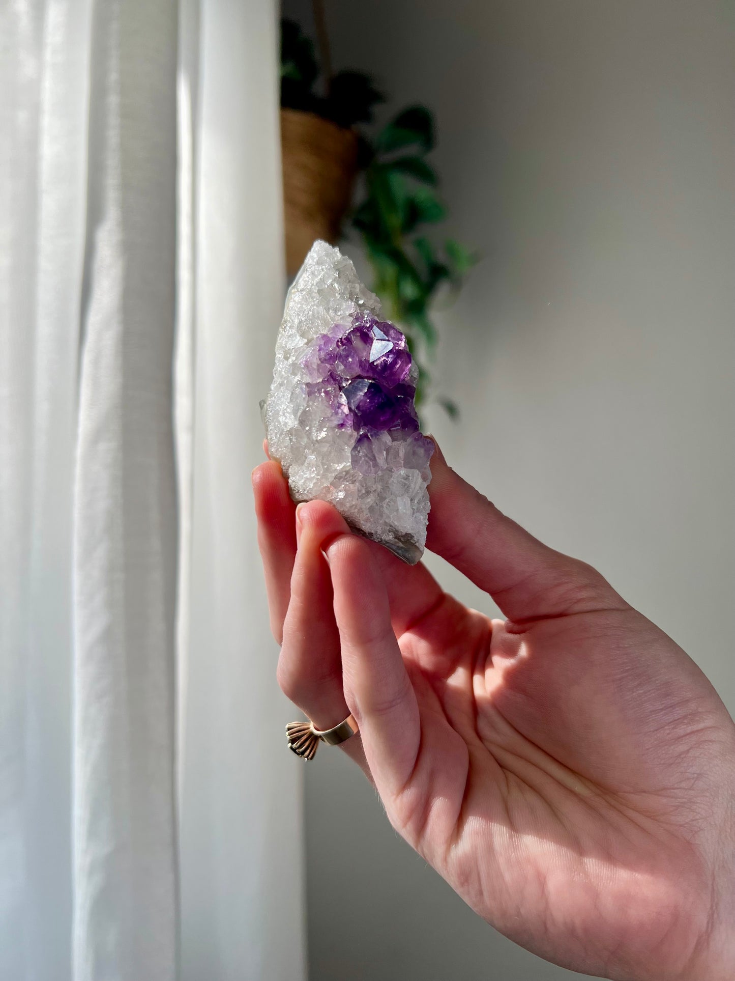 Amethyst Cluster from Brazil