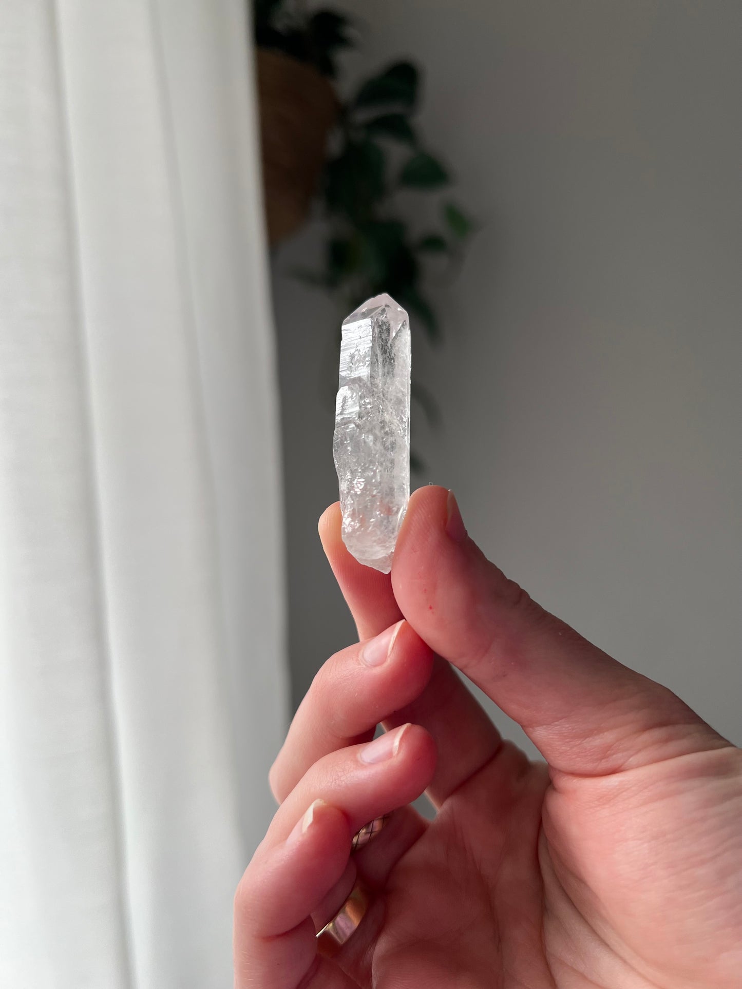 Himalayan Quartz point
