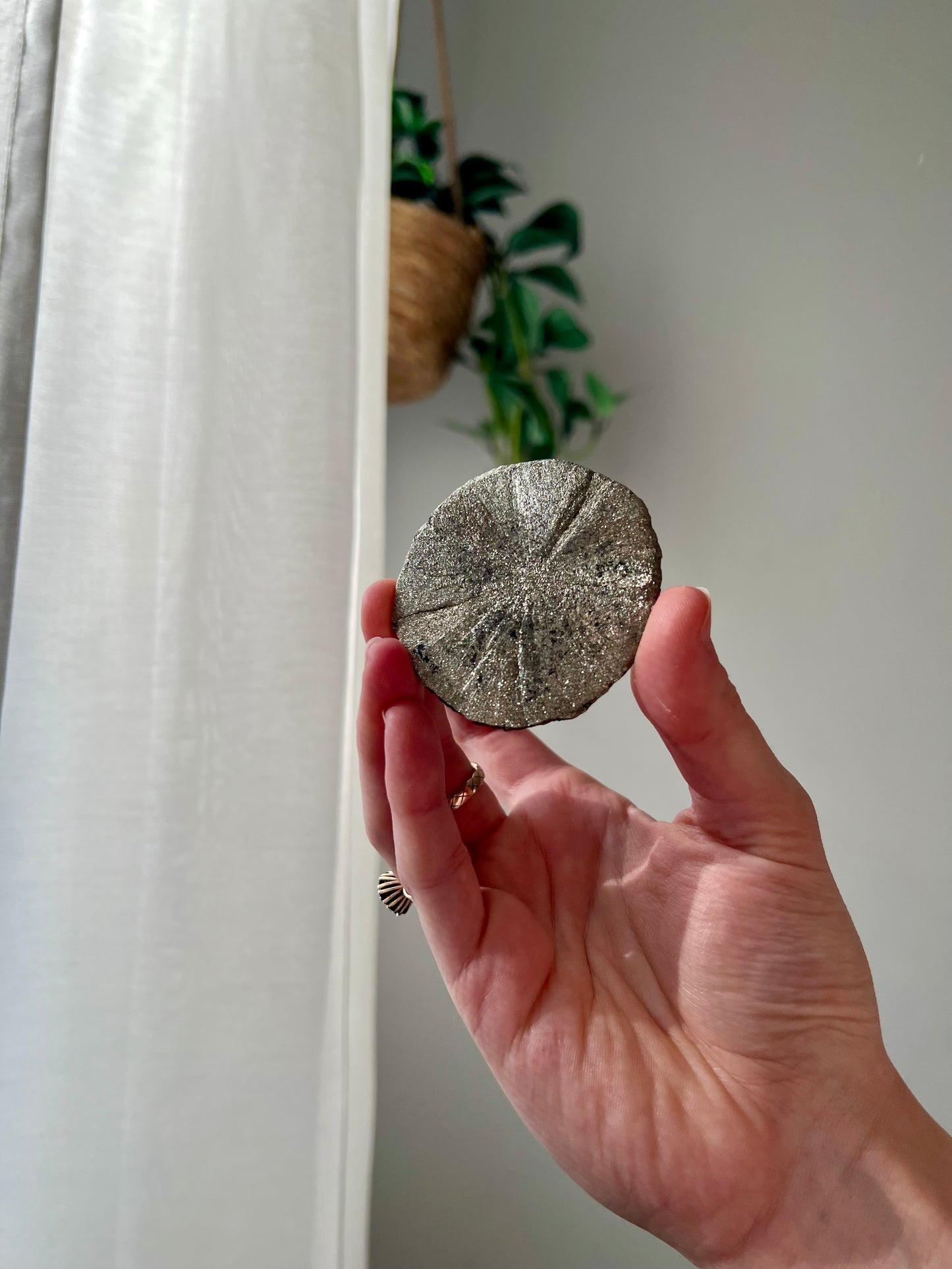 Rare Mini Pyrite Sun from Sparta Illinois USA