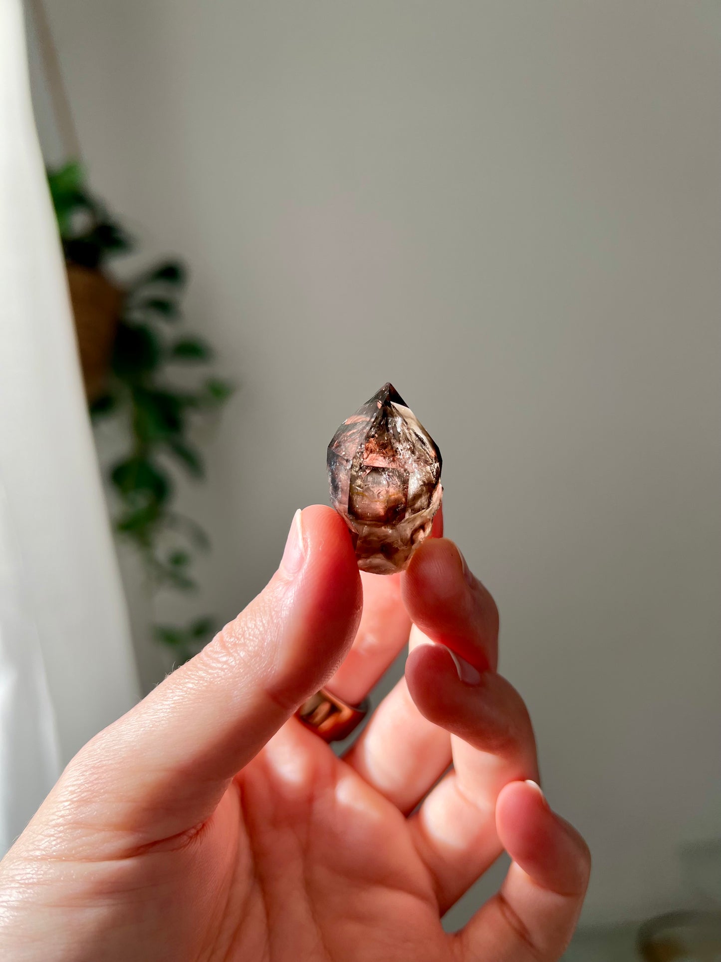 Smokey Quartz from NT