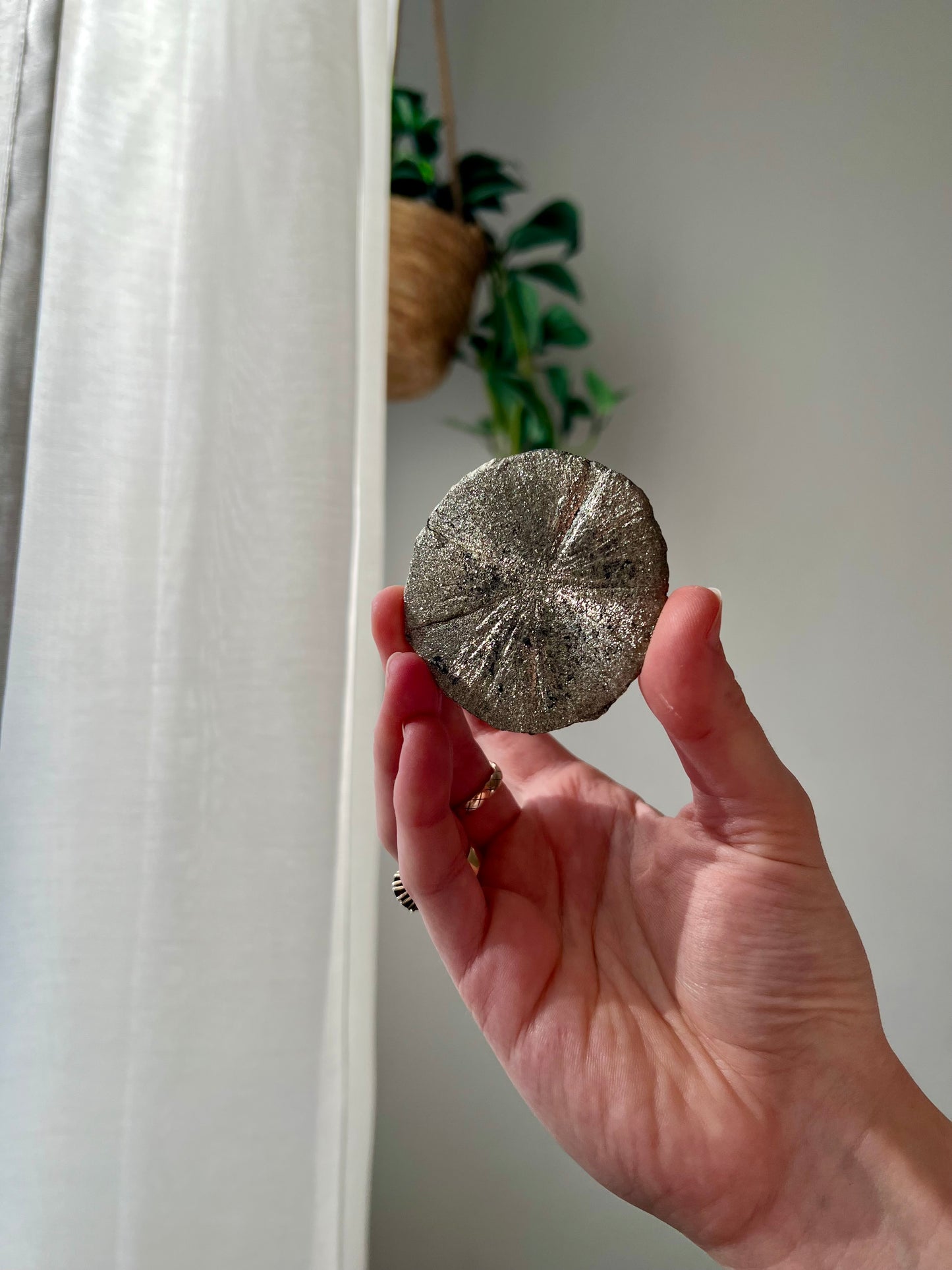 Rare Mini Pyrite Sun from Sparta Illinois USA