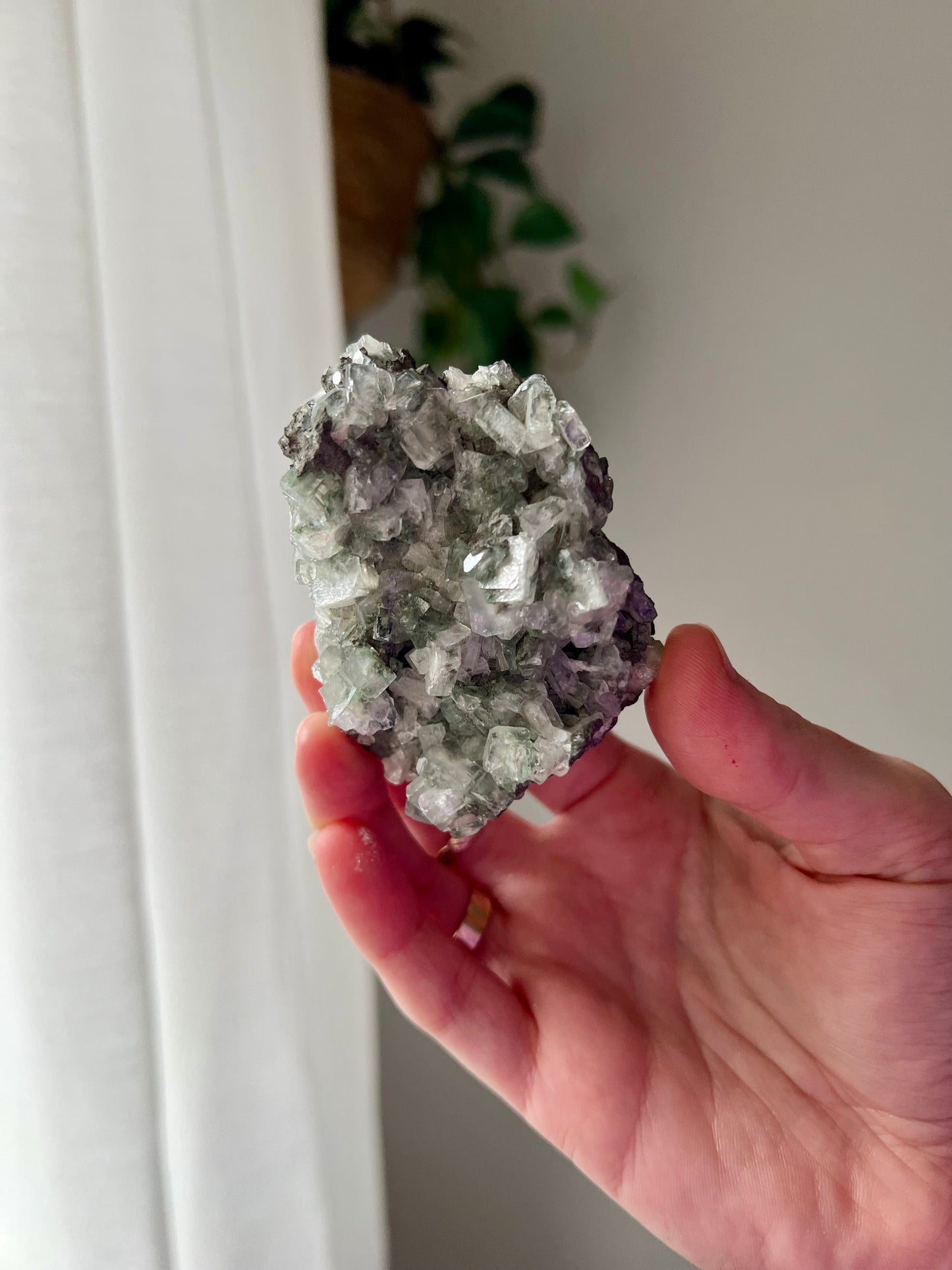 Green Apophyllite on Basalt from India