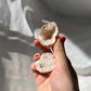 Clear Quartz Mini Geode from Morocco