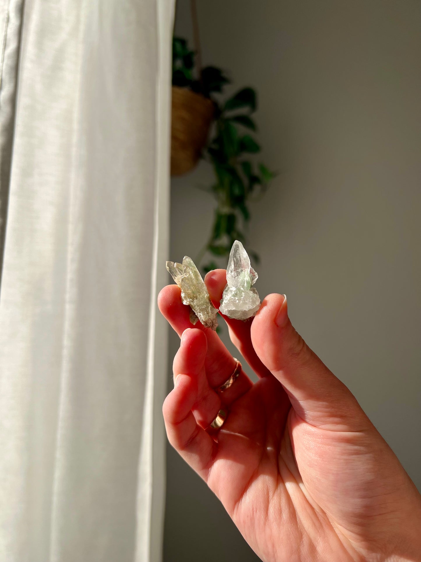 Pair of mini Himalayan Quartz with chlorite