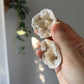 Mini Calcite Geode from Morocco