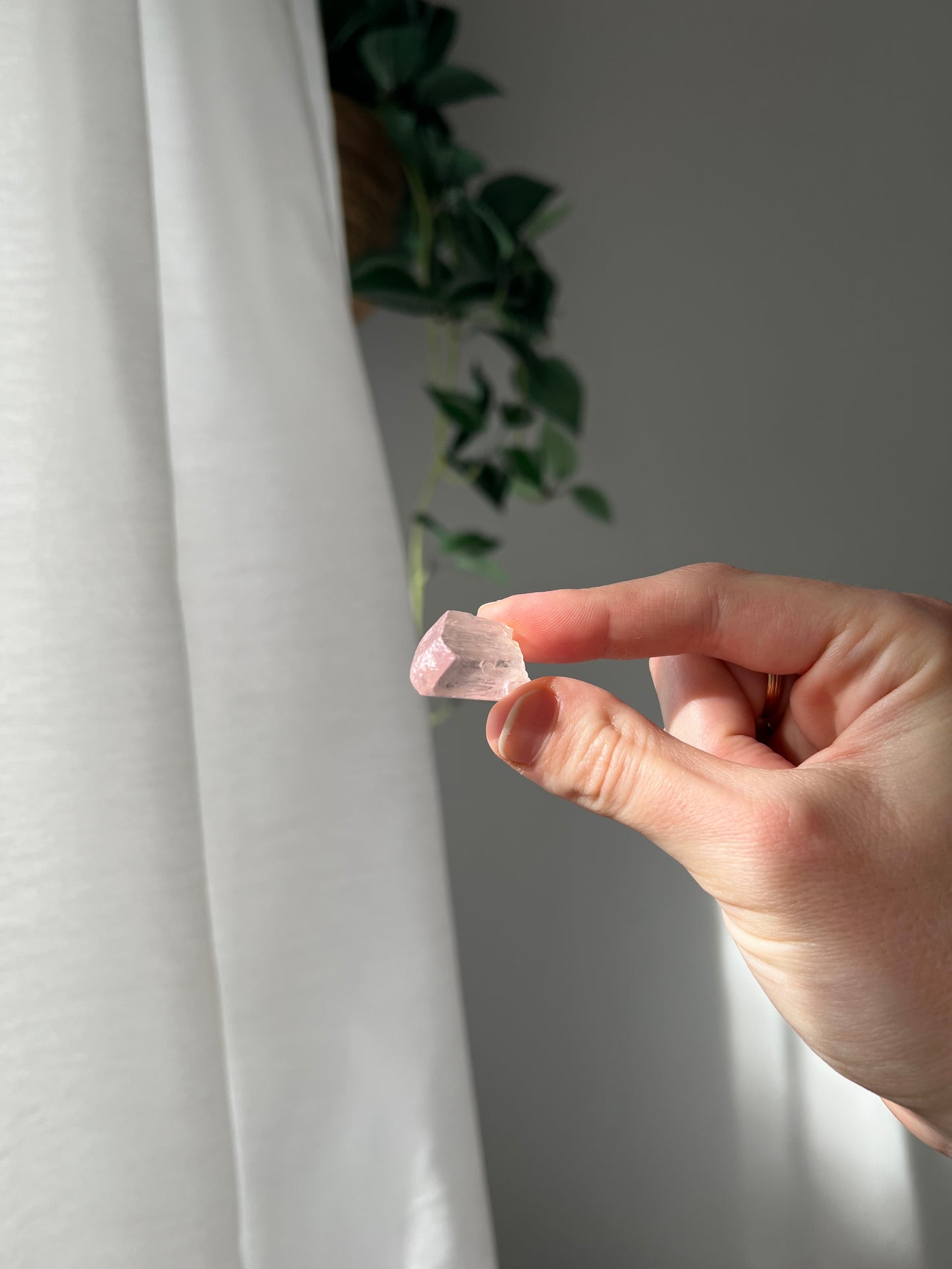 Kunzite from Afghanistan 01