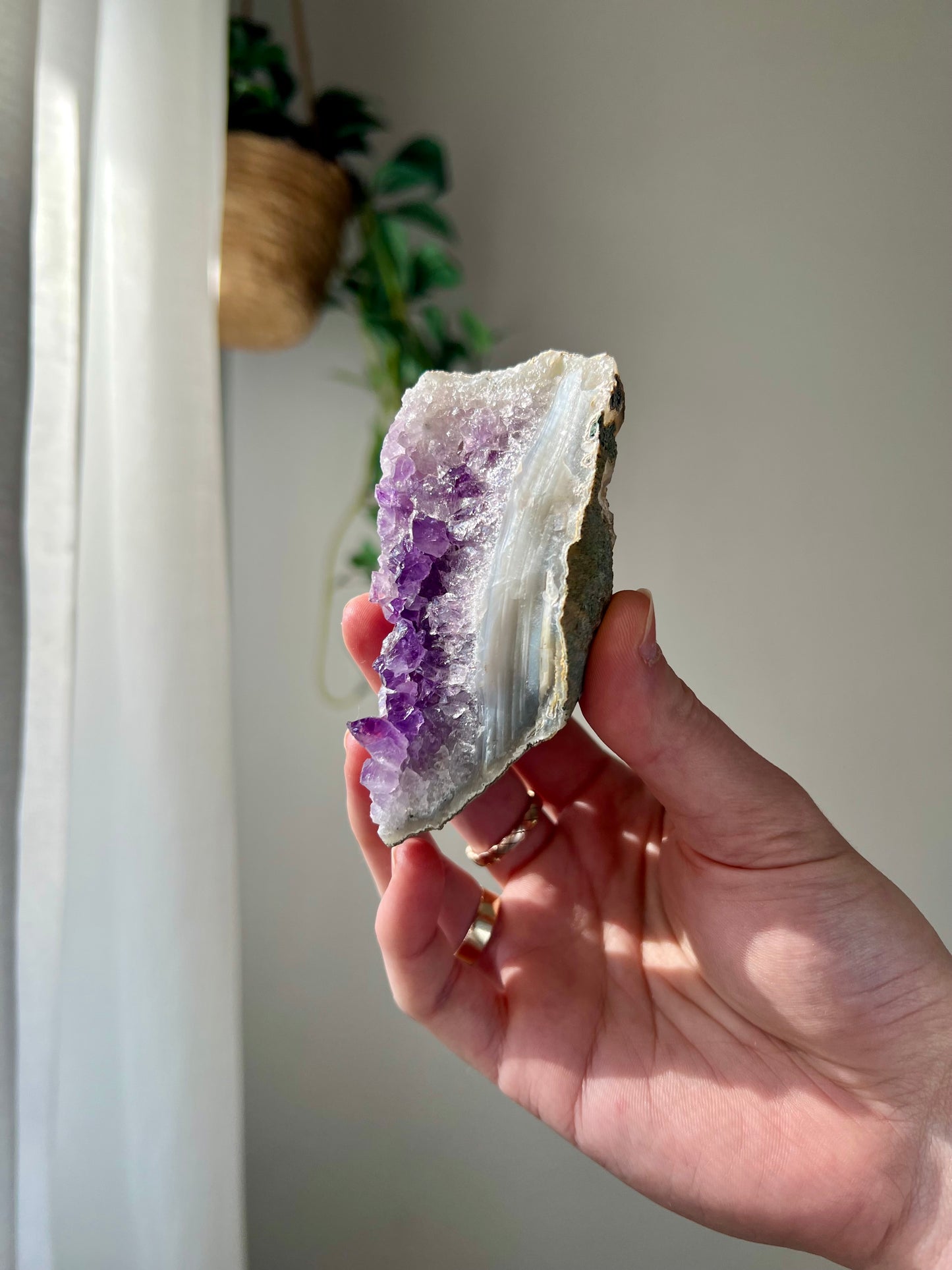 Amethyst Cluster from Brazil