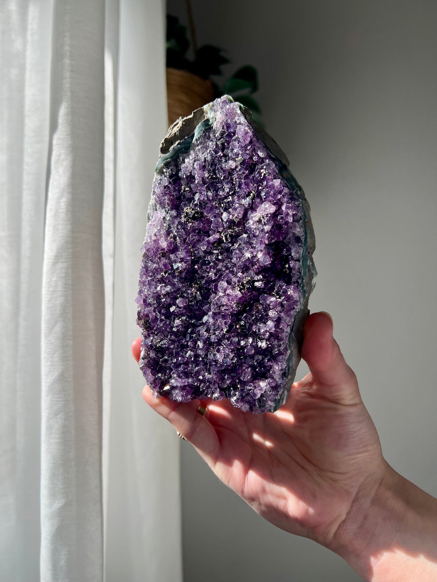 Amethyst Cluster from Brazil