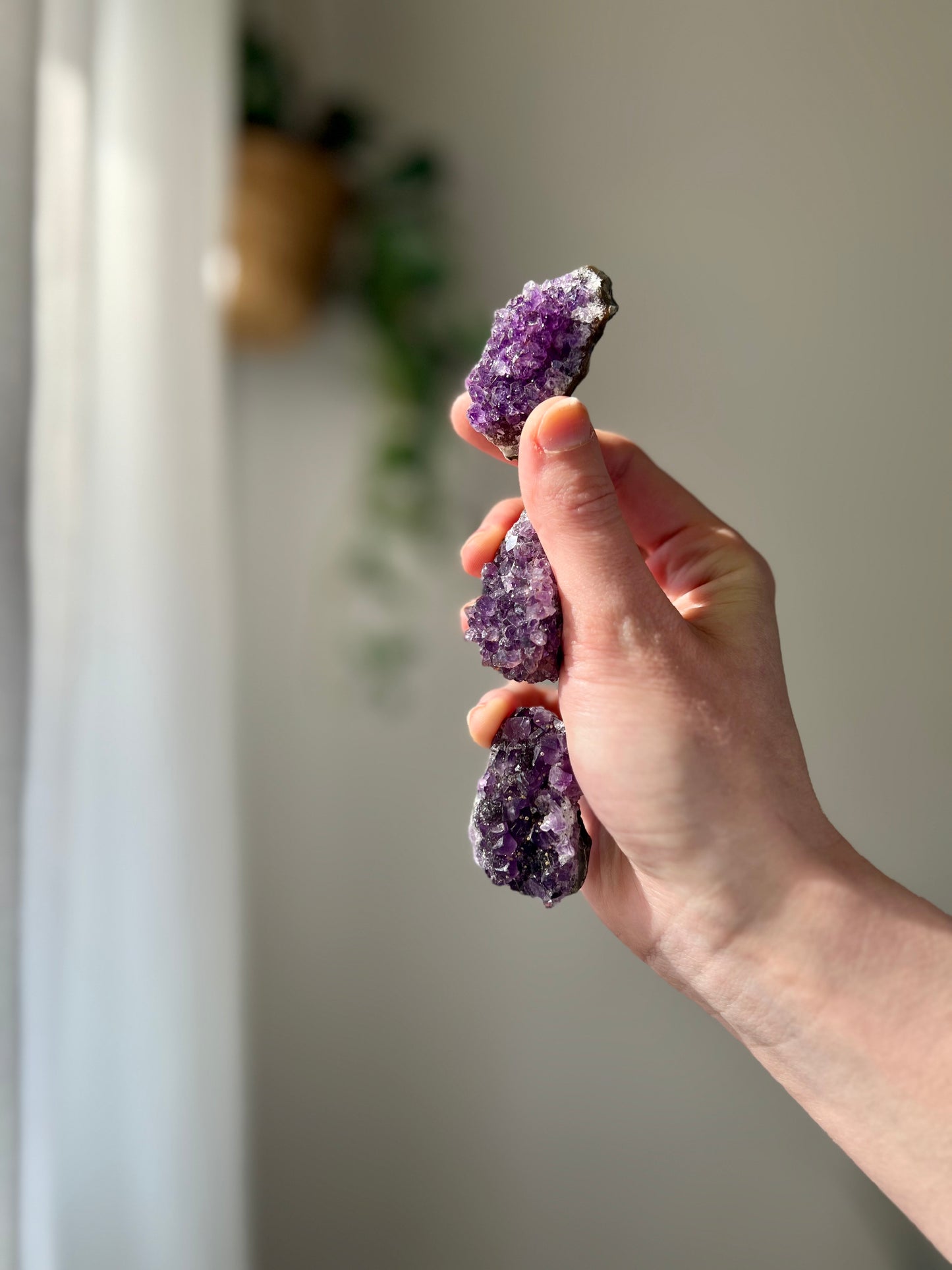 Amethyst cluster from Brazil