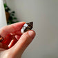 Smokey Quartz from NT