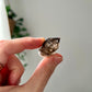 Smokey Quartz from NT
