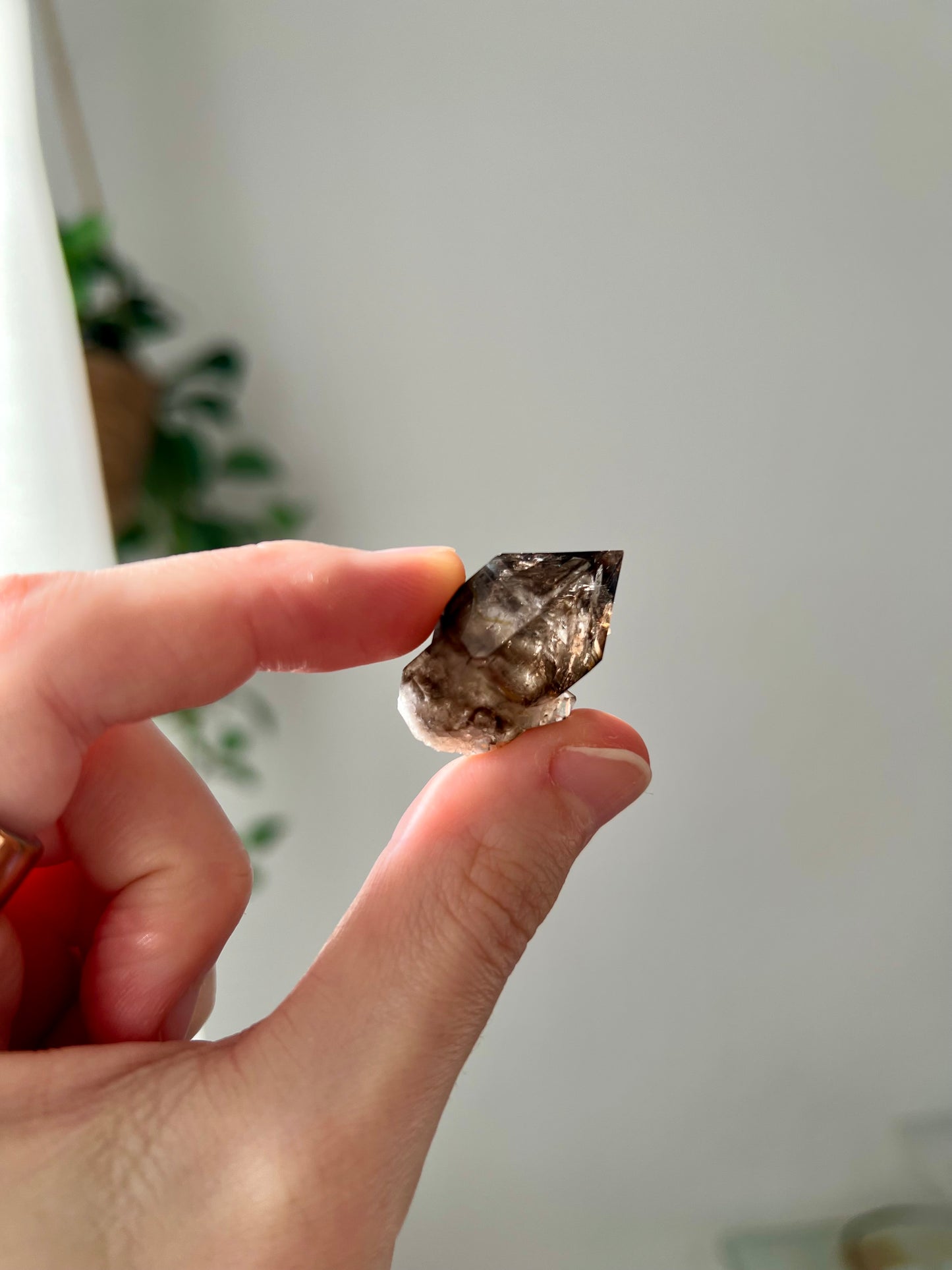 Smokey Quartz from NT