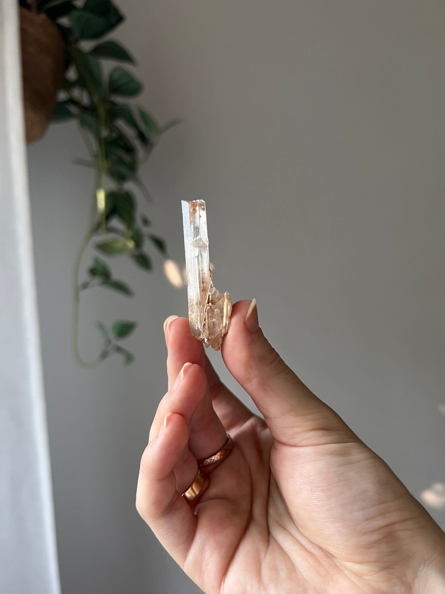 Selenite from Mexico