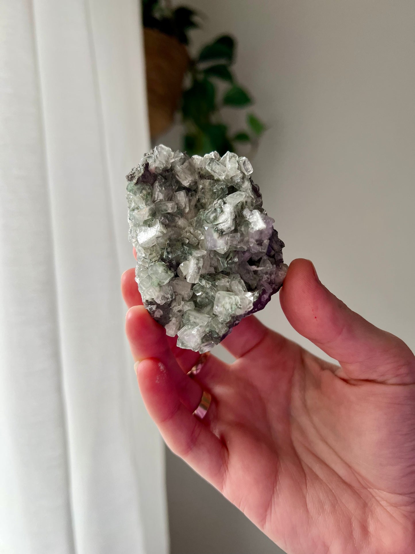 Green Apophyllite on Basalt from India
