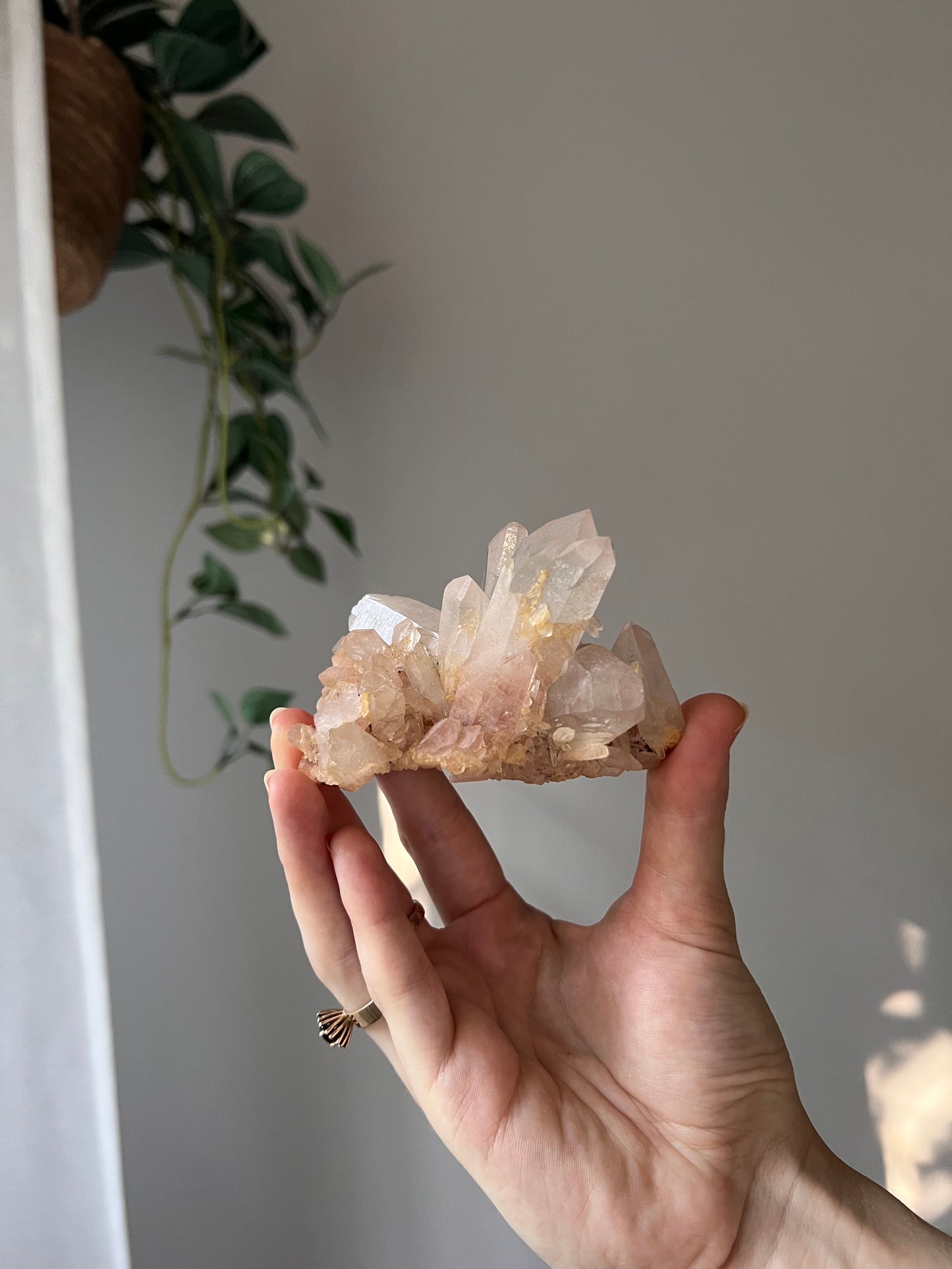 Himalayan Quartz cluster