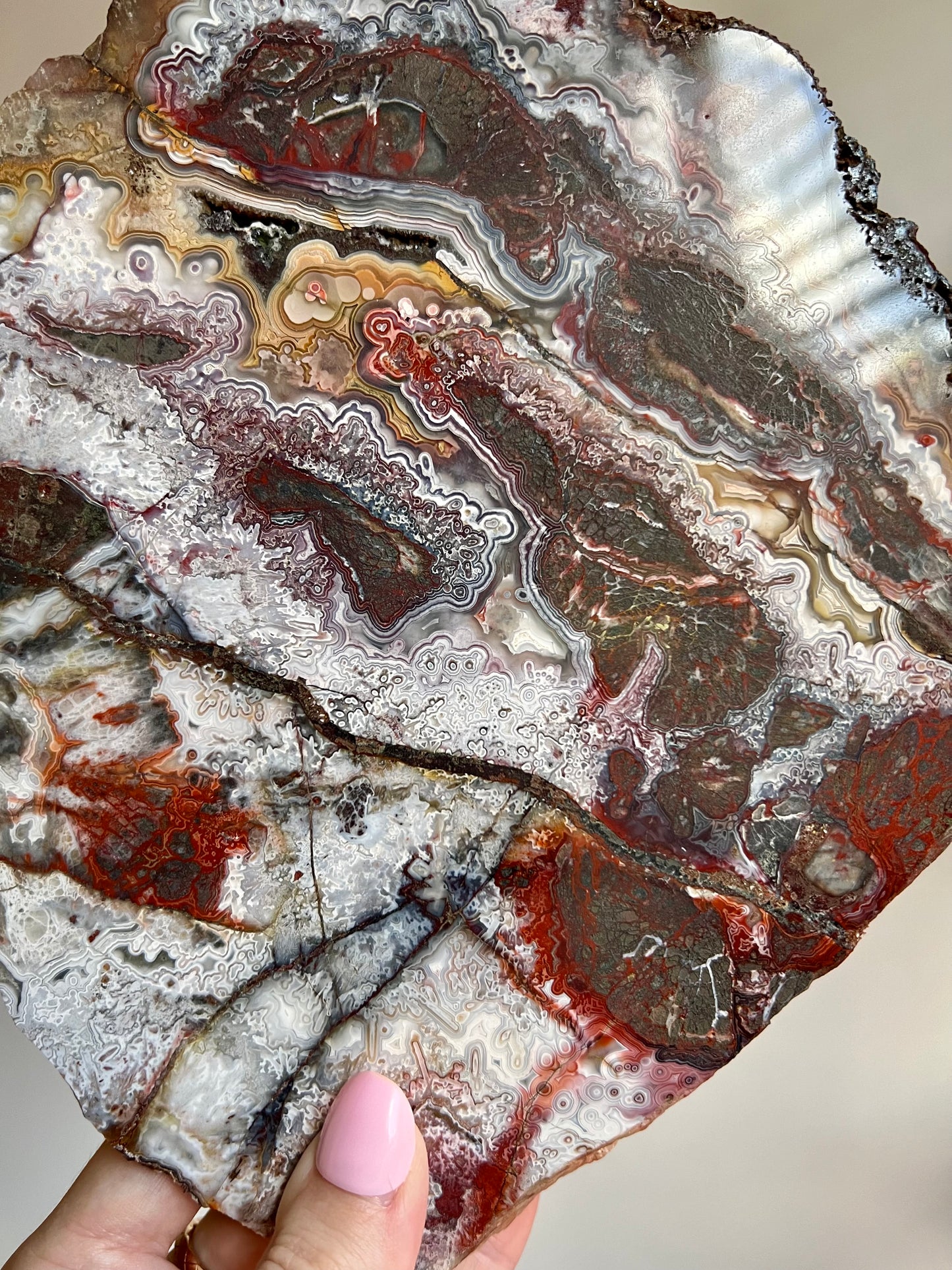 Crazy Lace Agate slab from Brazil