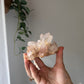 Himalayan Quartz cluster