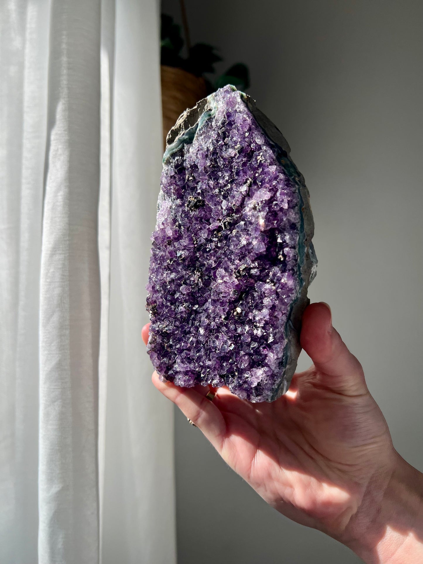 Amethyst Cluster from Brazil