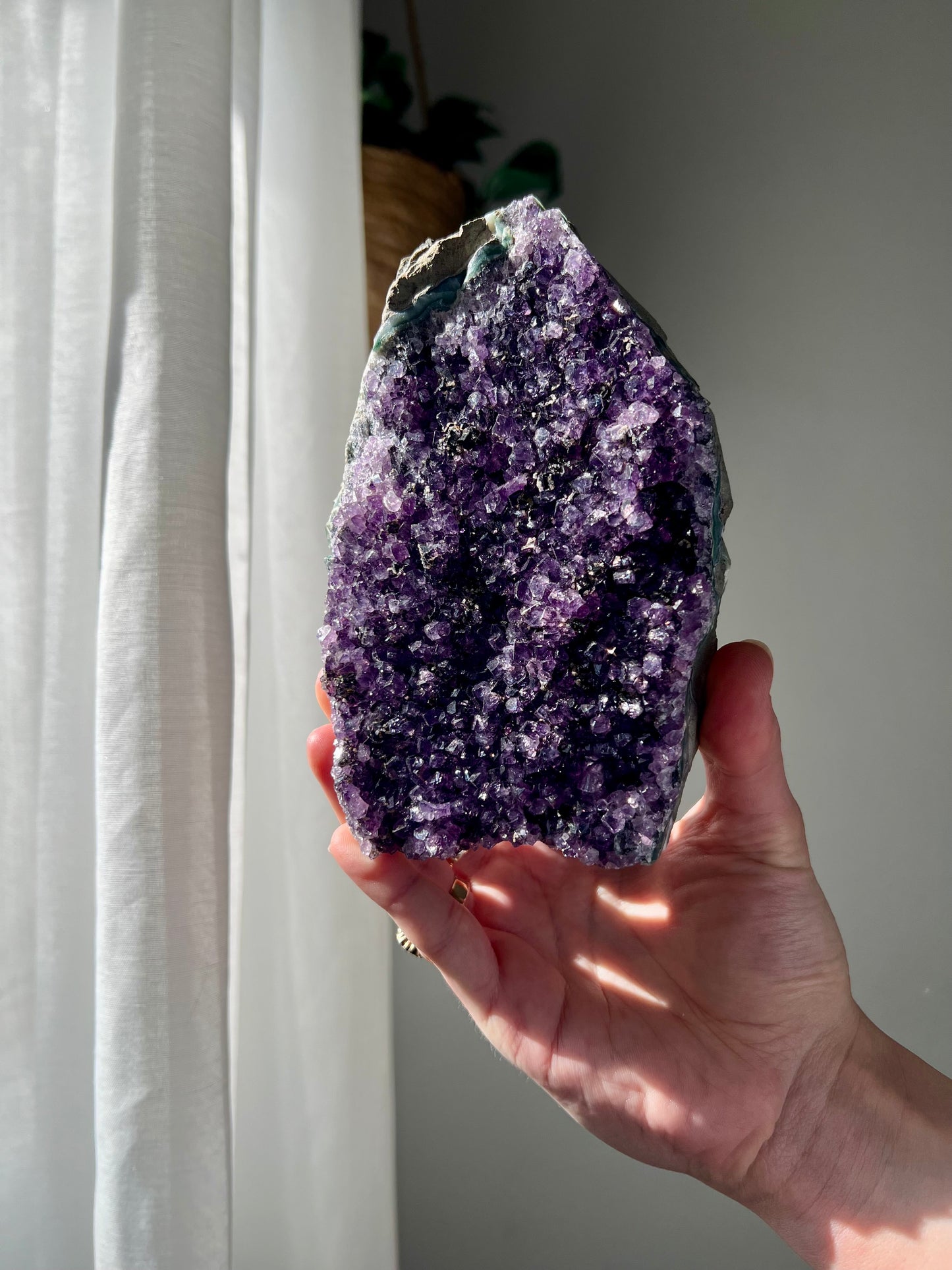 Amethyst Cluster from Brazil