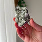 Green Apophyllite on Basalt from India